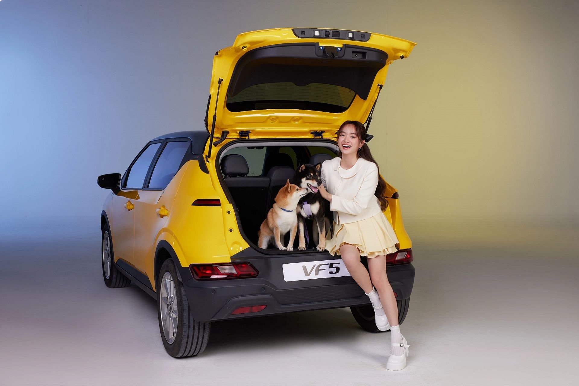 VinFast áp đảo thị trường ô tô điện nửa đầu năm 2025, VinFast áp đảo thị trường ô tô điện nửa đầu năm 2025 – Đột phá từ những con số ấn tượng, Vinfast Mỹ Đình | Đại lý xe ô tô Vinfast chính hãng uy tín tại Hà Nội